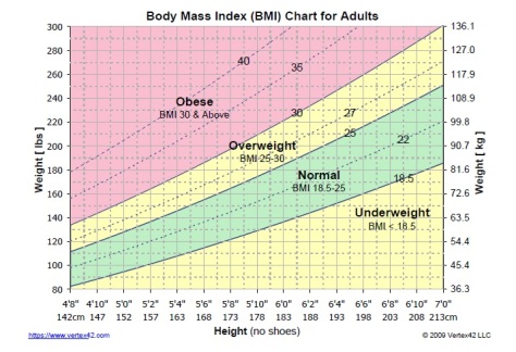 BMI chart for adults